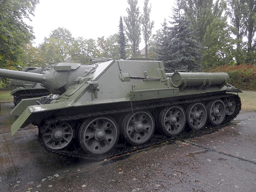 ⭐メキシコソテツ⭐(特大！重量級！) ⭐メキシコソテツ⭐(特大！重量級！) 2025年最新】メキシコソテツの