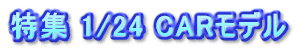 特集 1/24 CARモデル