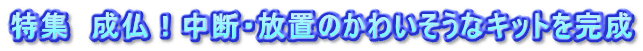 特集　成仏！中断・放置のかわいそうなキットを完成