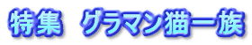 特集　グラマン猫一族